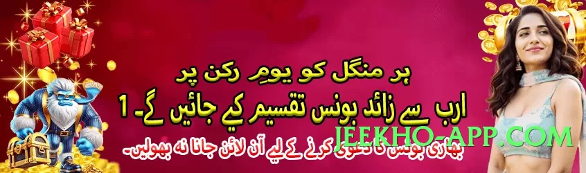 Pro pk2win v4.8.7 APK Screenshot 1